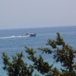 maremanduria