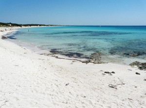 800px-Spiaggia_di_Punta_Prosciutto